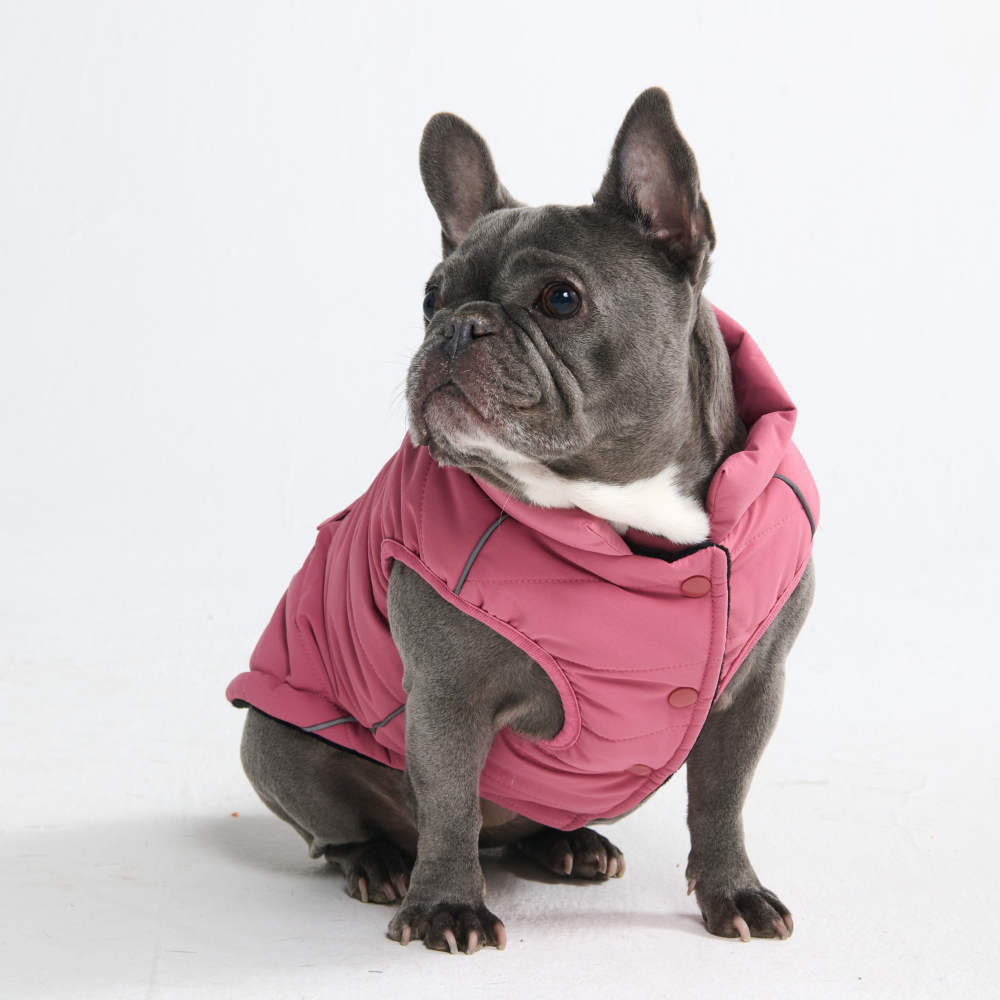 Petloom All-Season Insulated Dog Jacket™