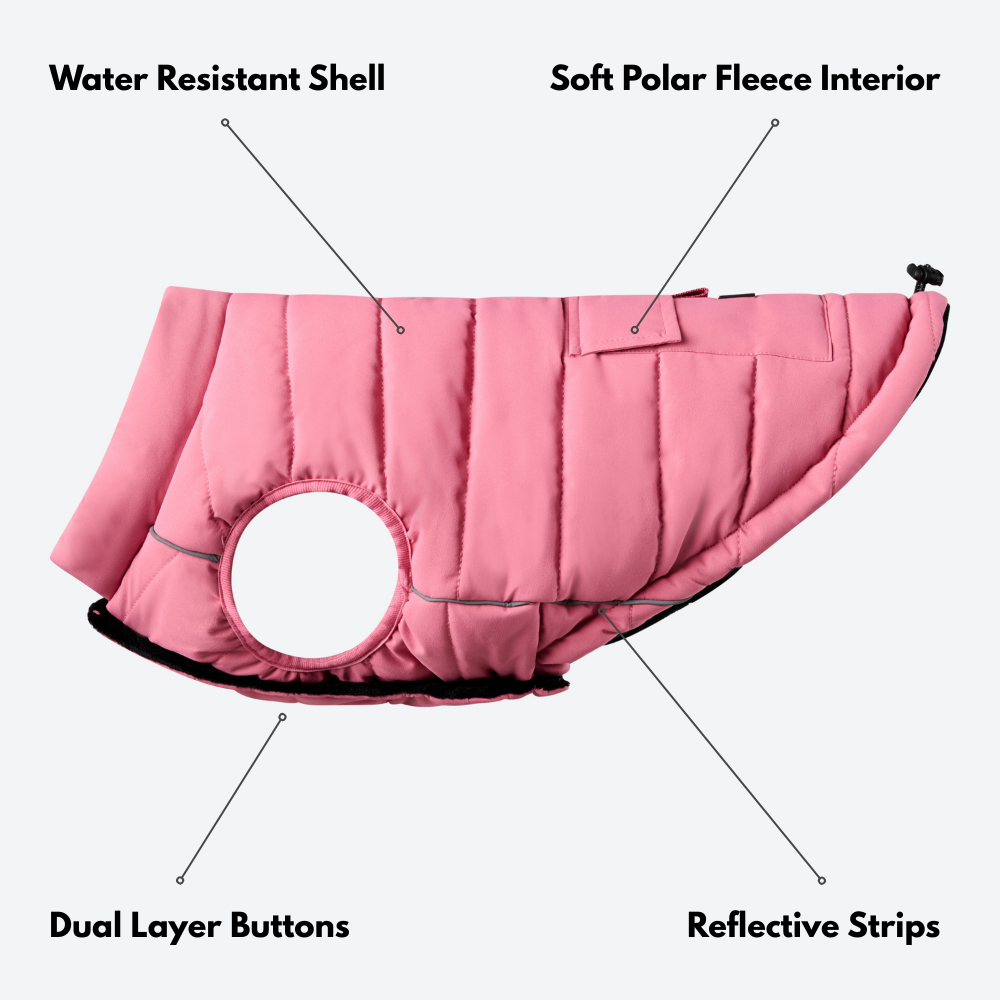 Petloom All-Season Insulated Dog Jacket™