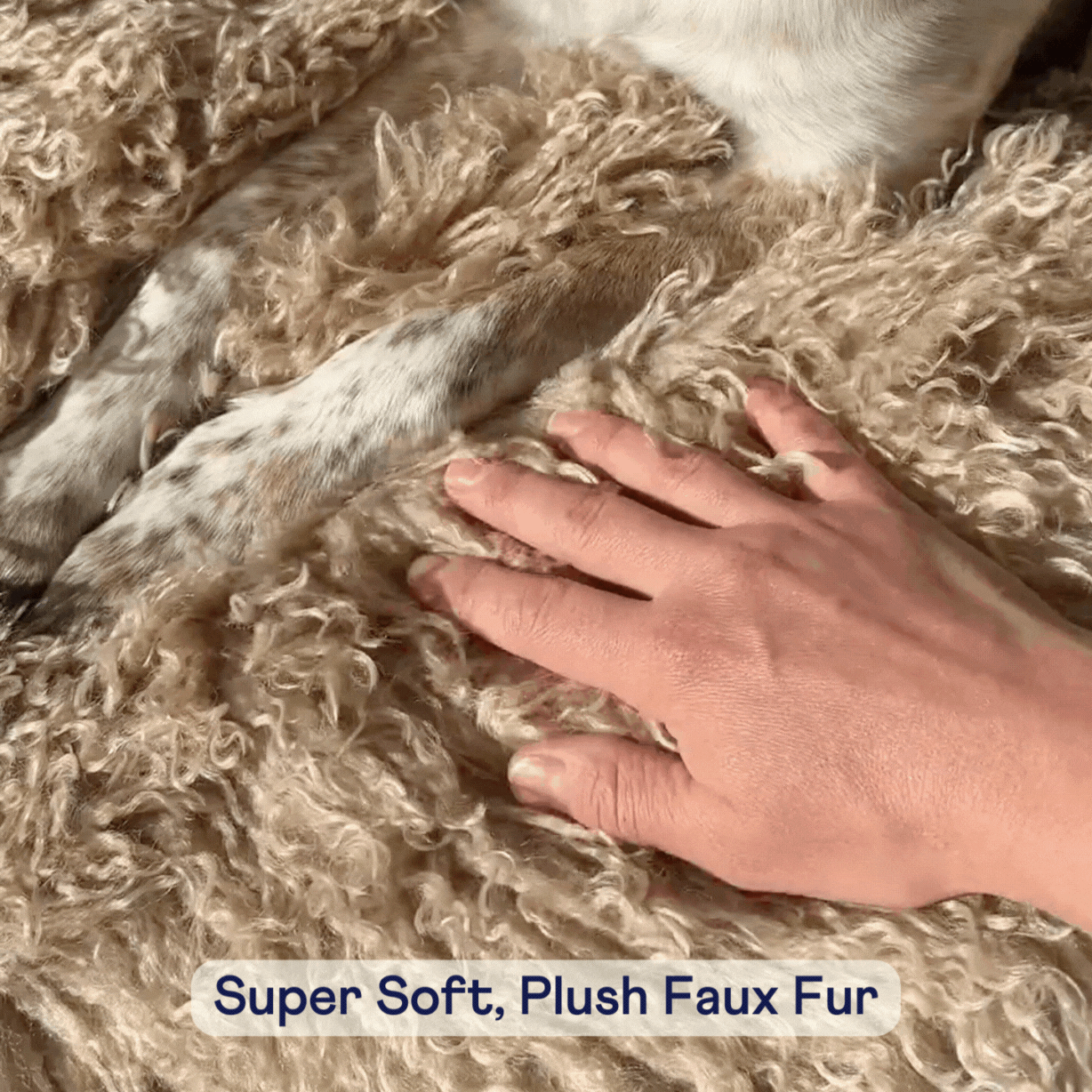 PETLOOM Luxe Faux Fur Orthopedic Dog Bed™