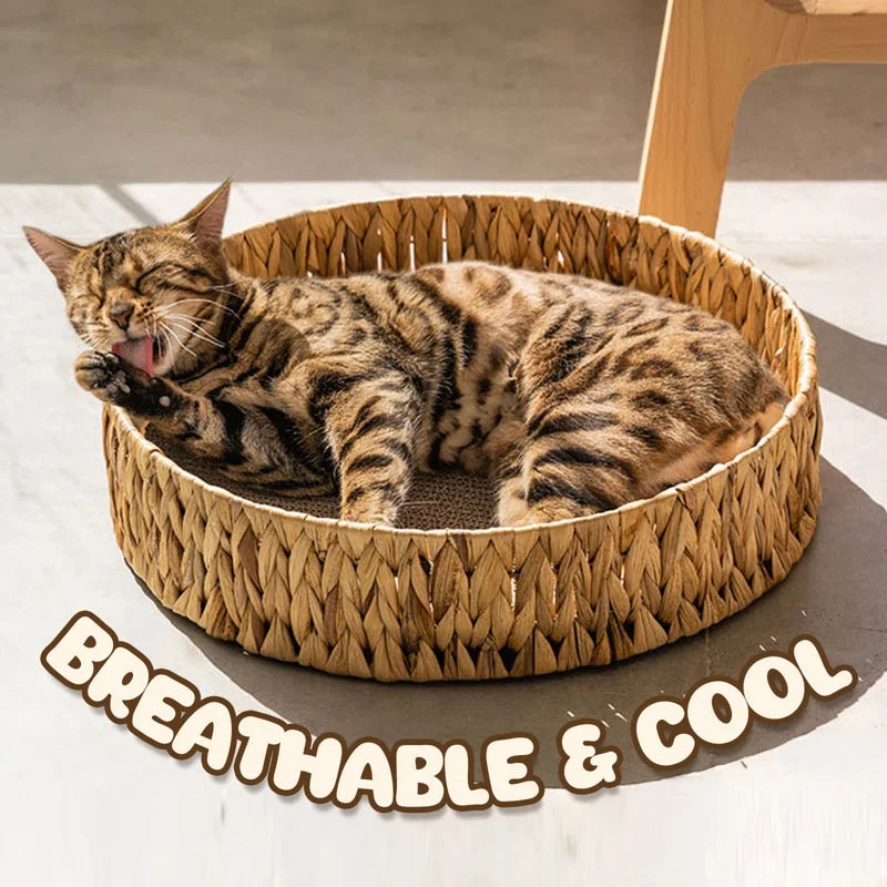 PETLOOM Handwoven Gourd Grass Cat Bed™