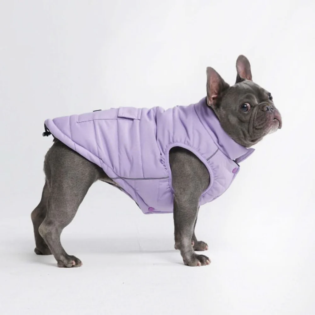 Petloom All-Season Insulated Dog Jacket™