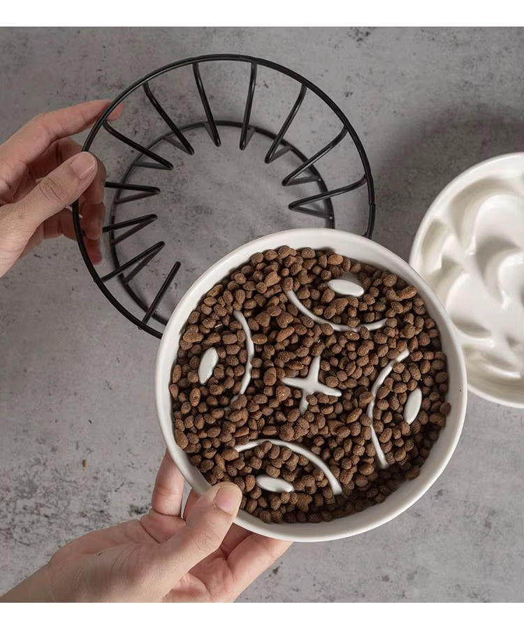 Petloom Lumière modern pet bowl for dogs and cats