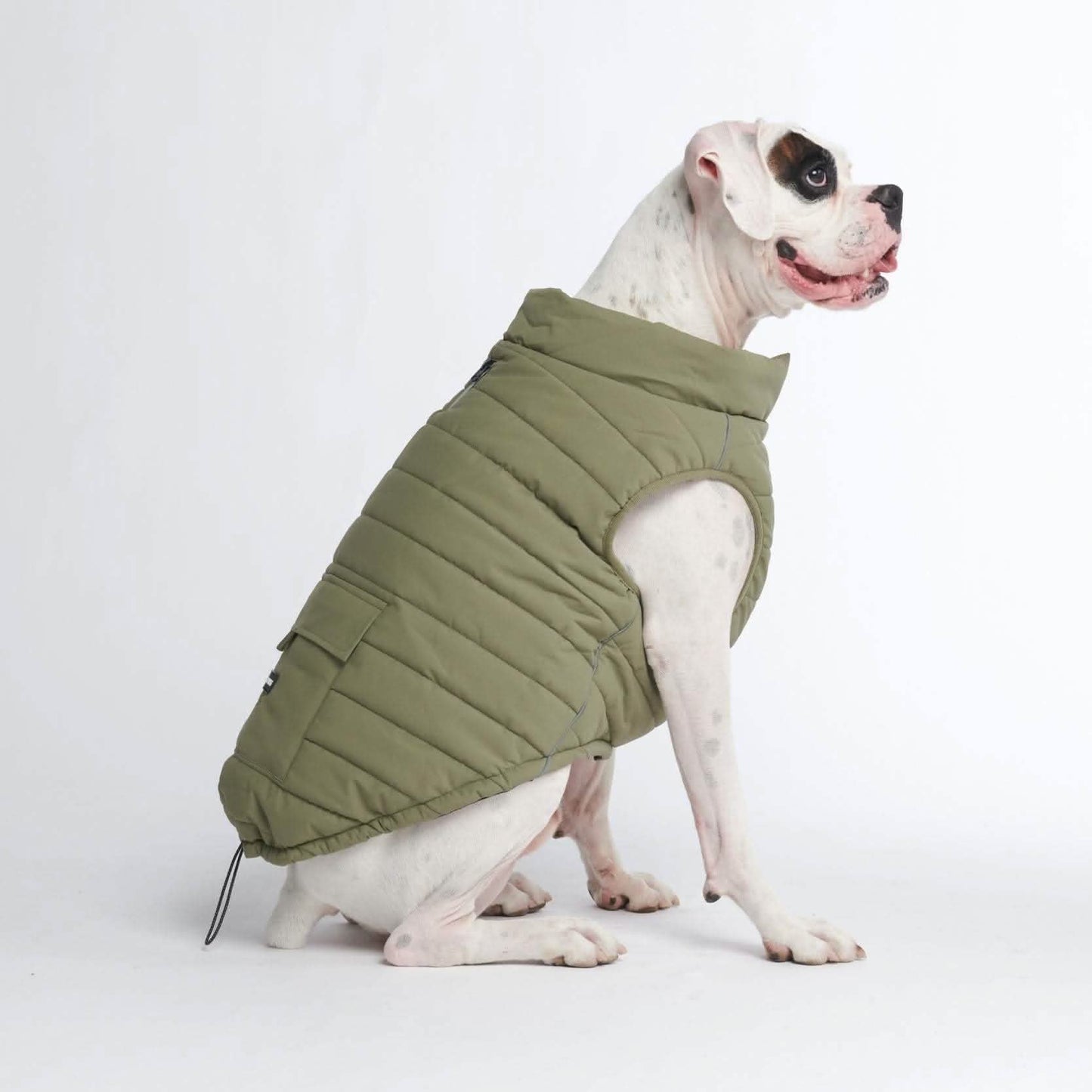 Petloom All-Season Insulated Dog Jacket™