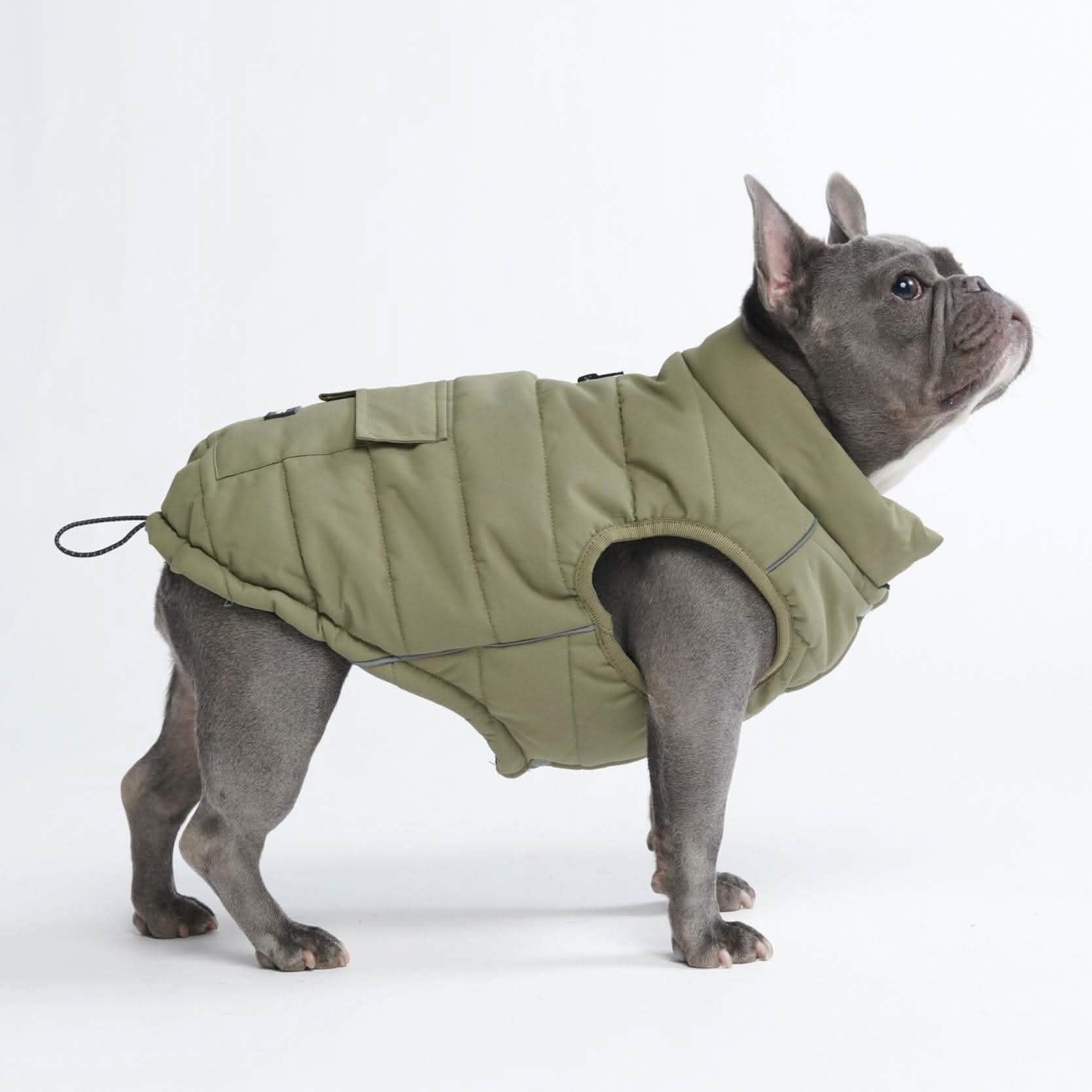 Petloom All-Season Insulated Dog Jacket™