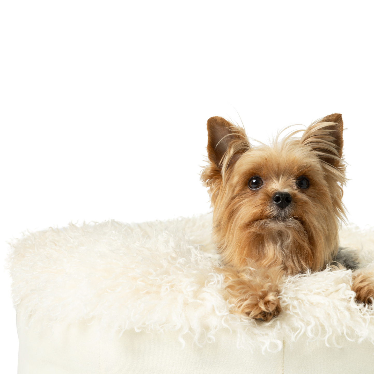 PETLOOM Luxe Faux Fur Donut Dog Bed™