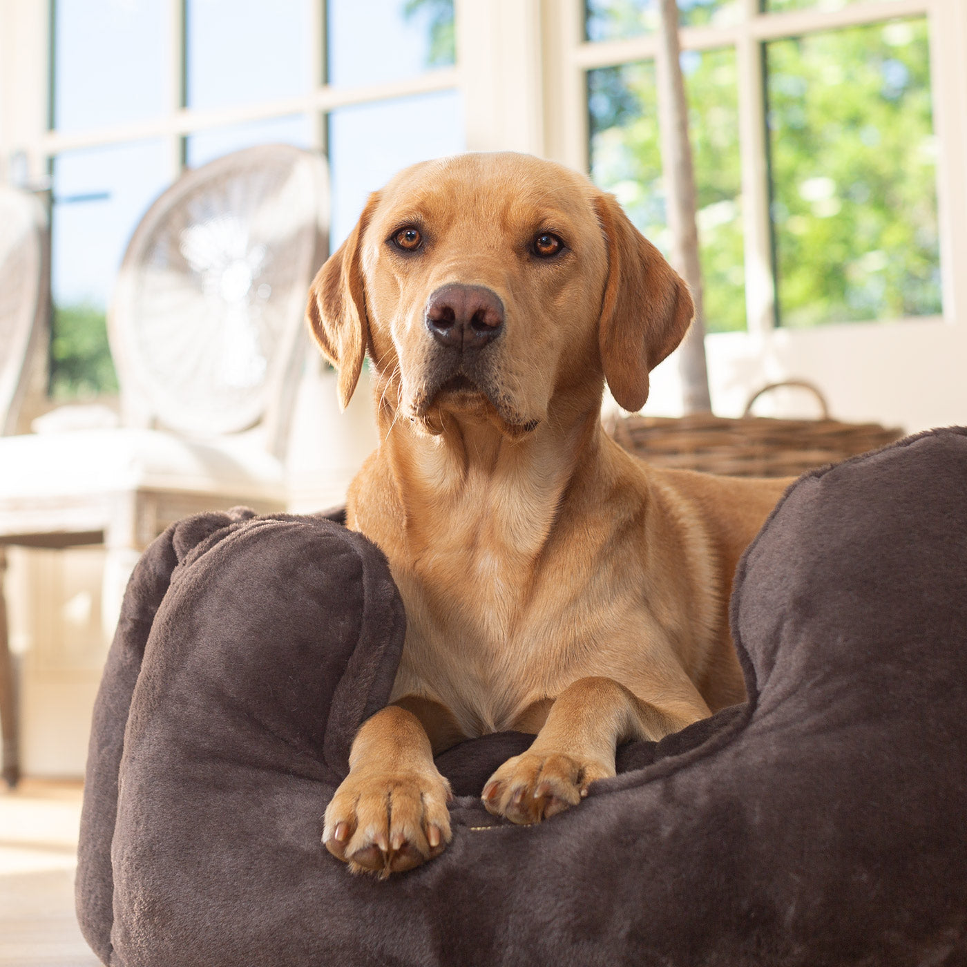 PETLOOM High Wall Calming Faux Fur Dog Bed™