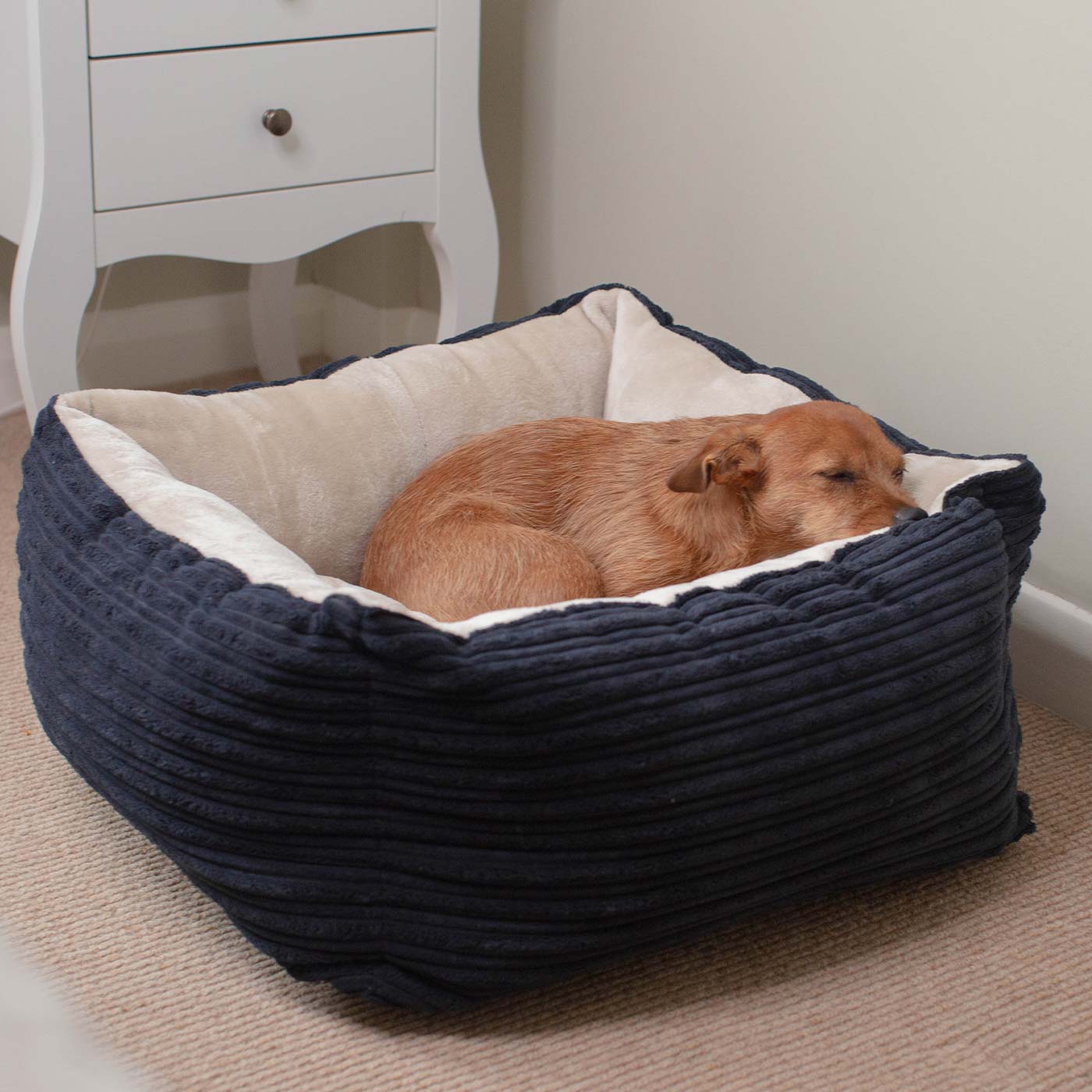 PETLOOM Essentials Plush Box Dog Bed™