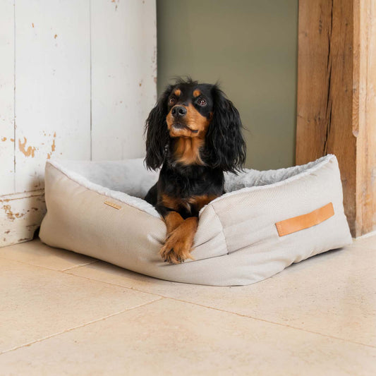 PETLOOM Essentials Twill Box Dog Bed™