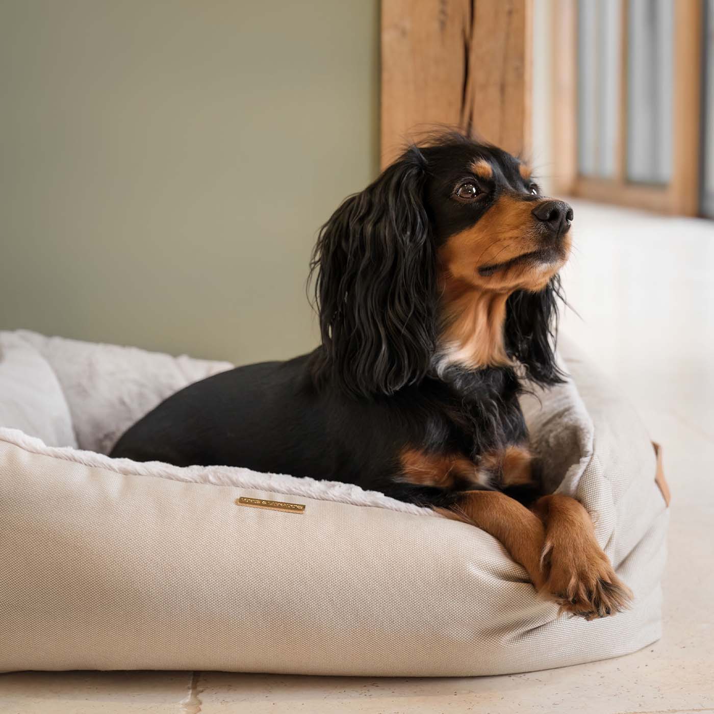 PETLOOM Essentials Twill Box Dog Bed™