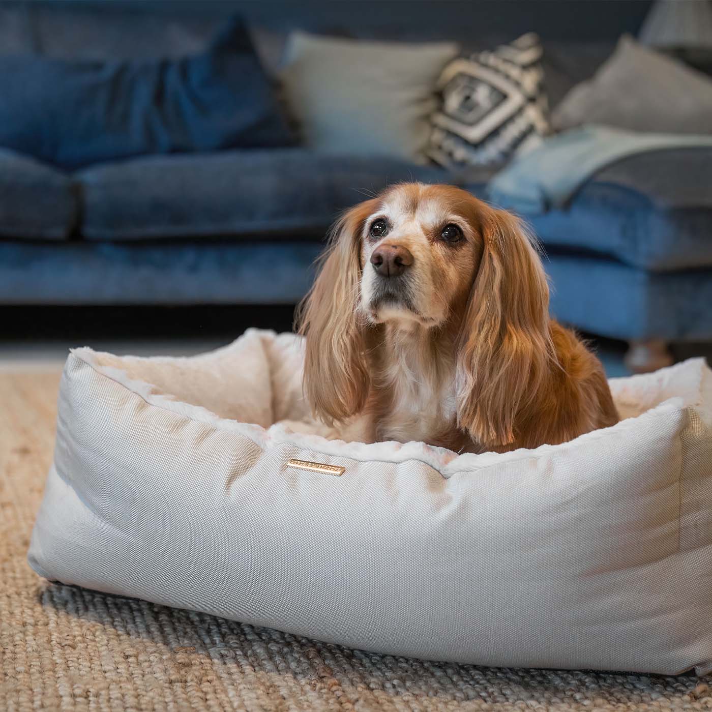 PETLOOM Essentials Twill Box Dog Bed™