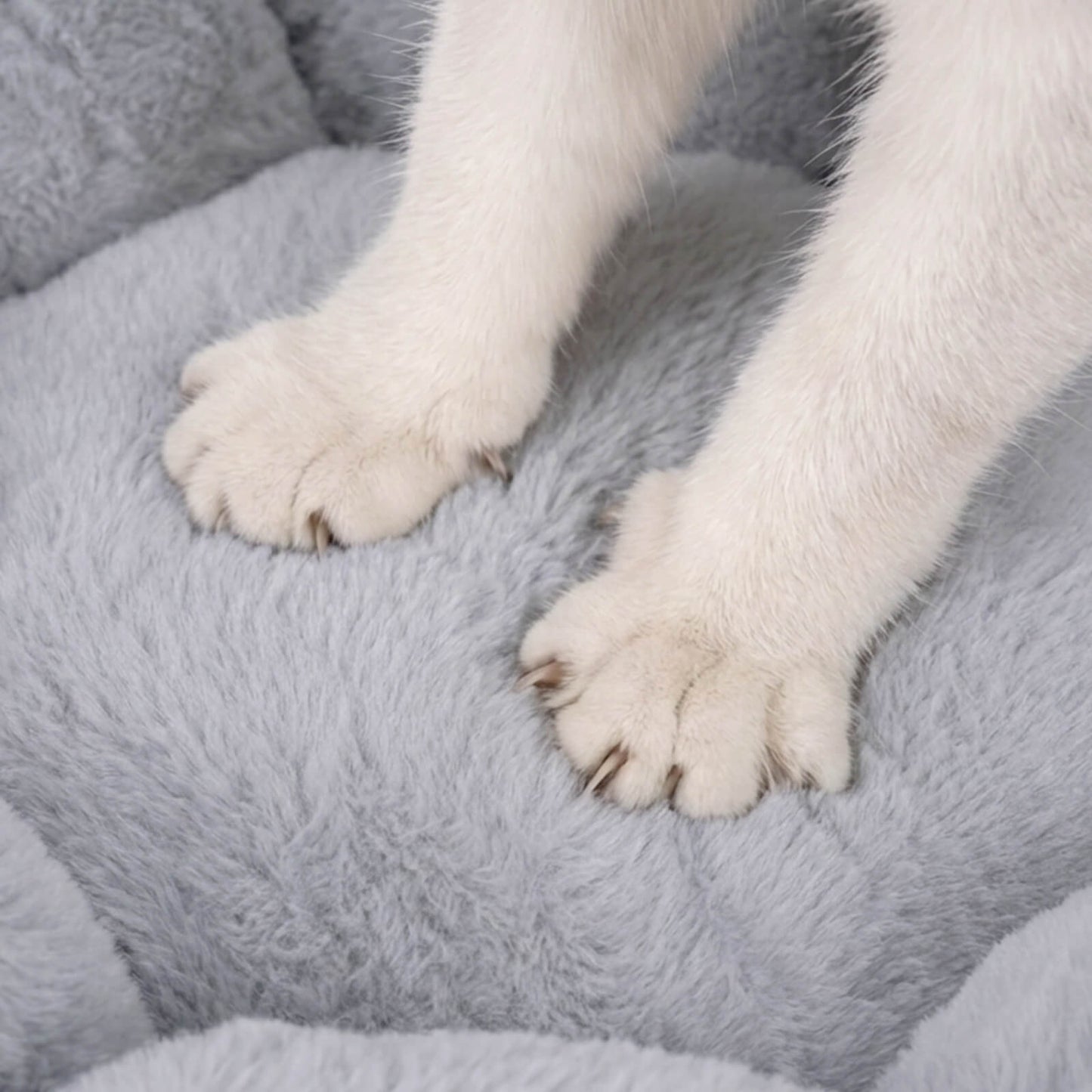 PETLOOM Bloomy Flower Plush Cat Bed™