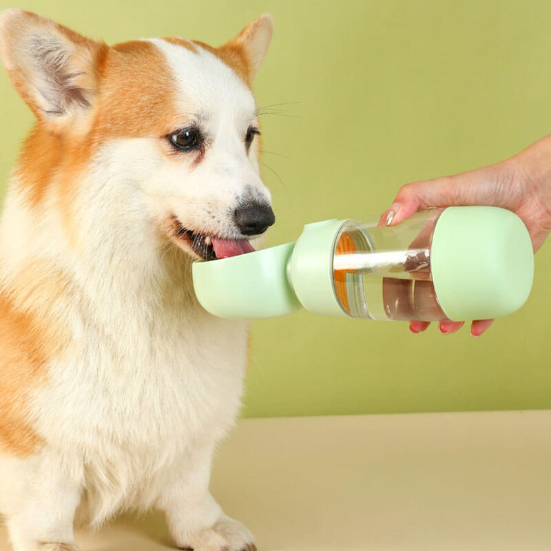 PETLOOM 2-in-1 Portable Outdoor Dog Water Bottle™