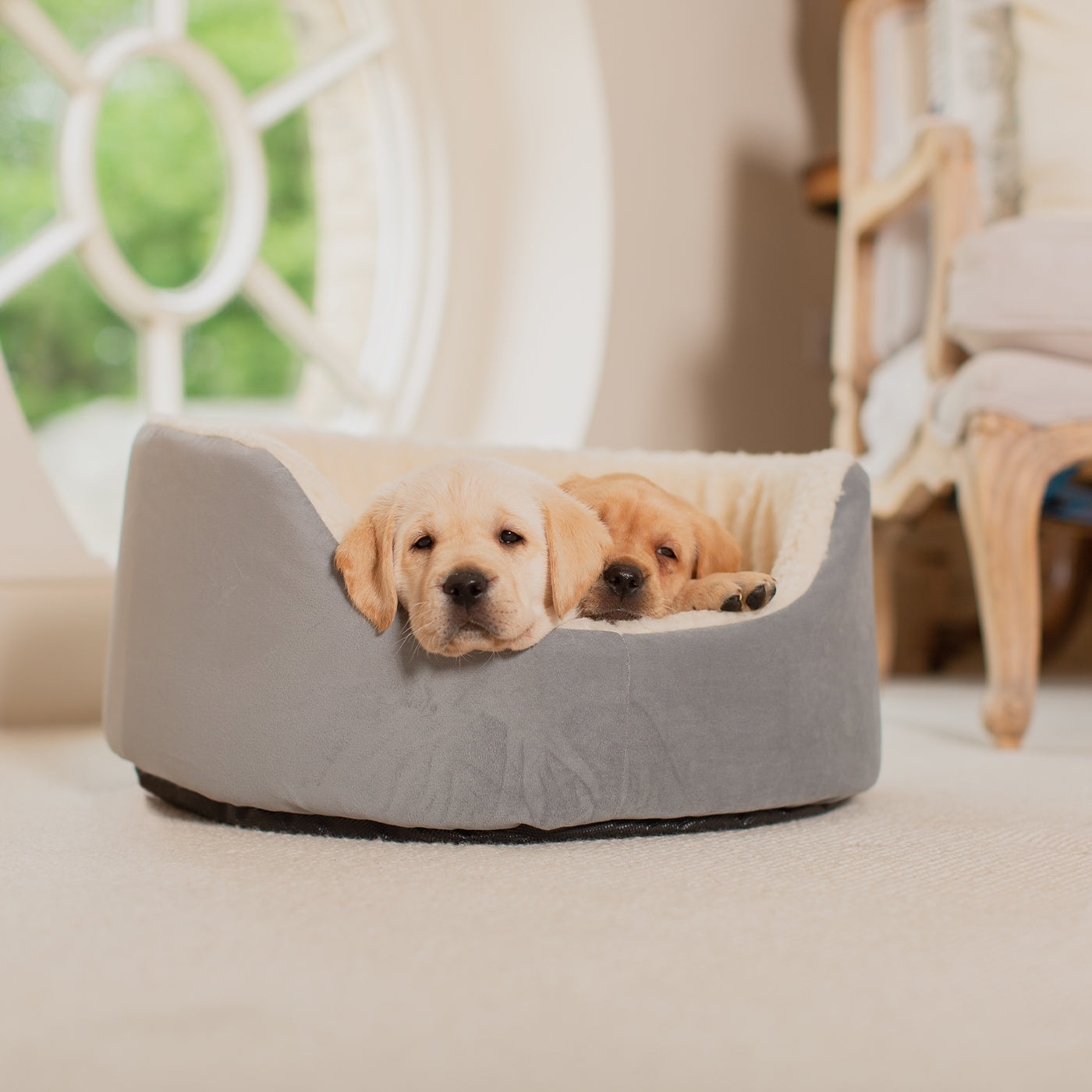 PETLOOM Grow With Me Puppy Bed™