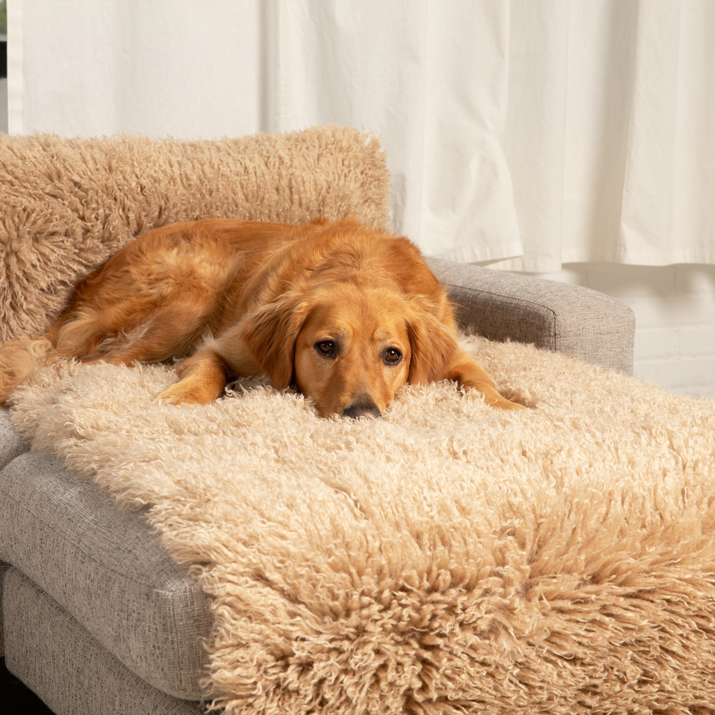 PETLOOM Luxe Waterproof Bed Runner™