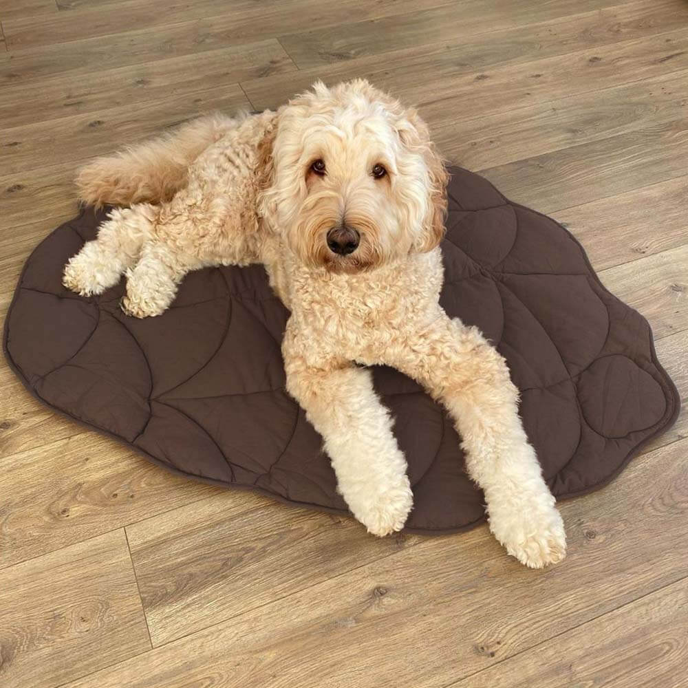 PETLOOM Leaf Shape Dog Blanket™