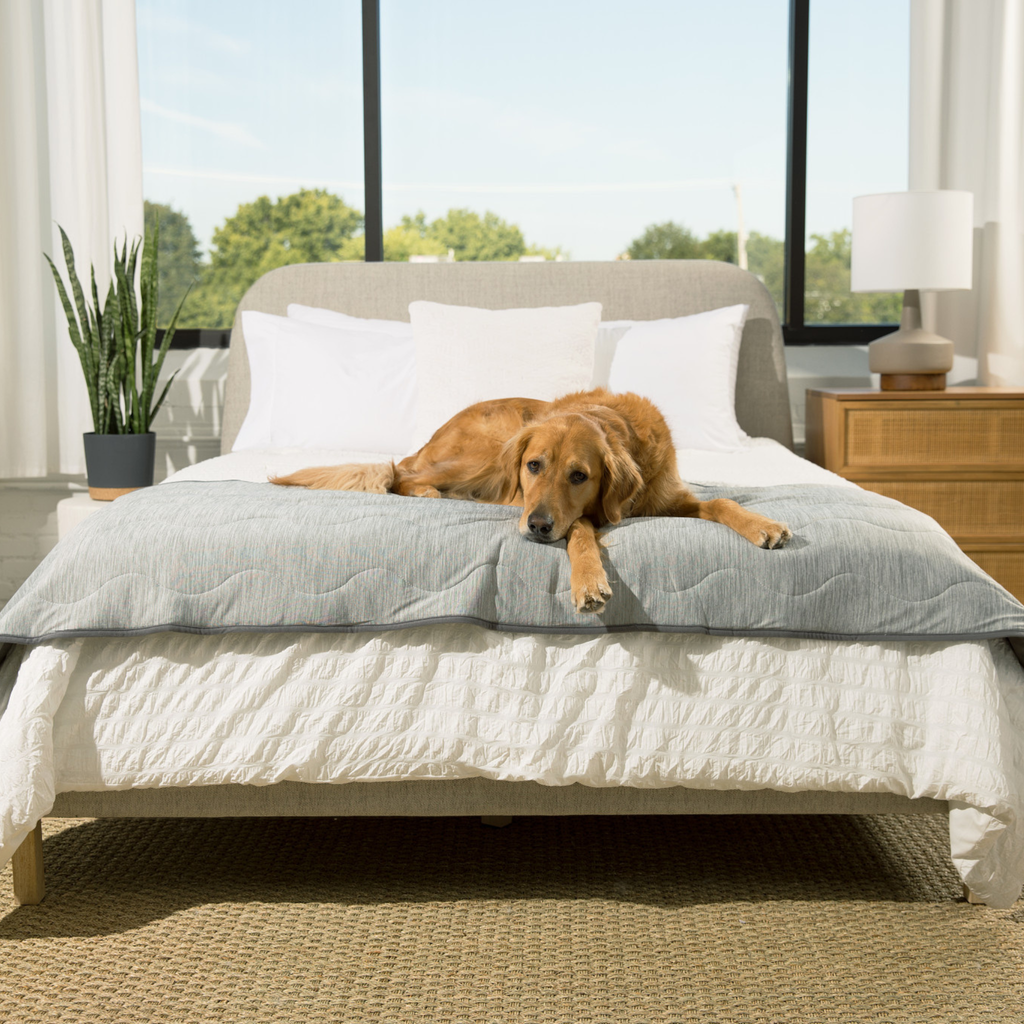 PETLOOM Cooling Waterproof Runner Blanket™