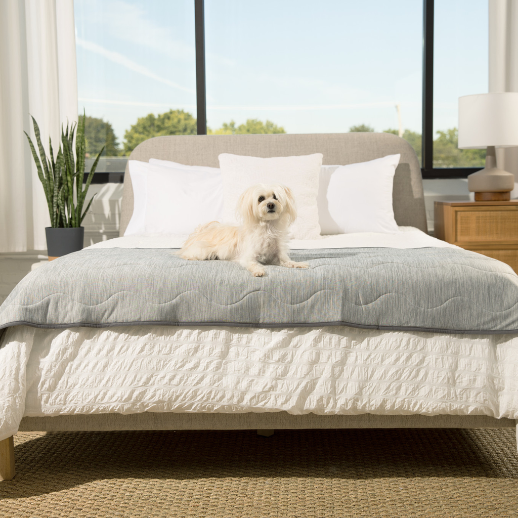 PETLOOM Cooling Waterproof Runner Blanket™