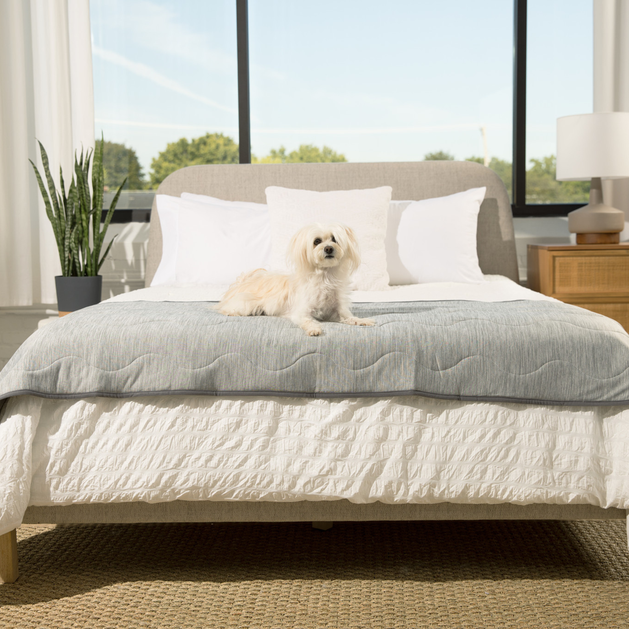 PETLOOM Cooling Waterproof Runner Blanket™