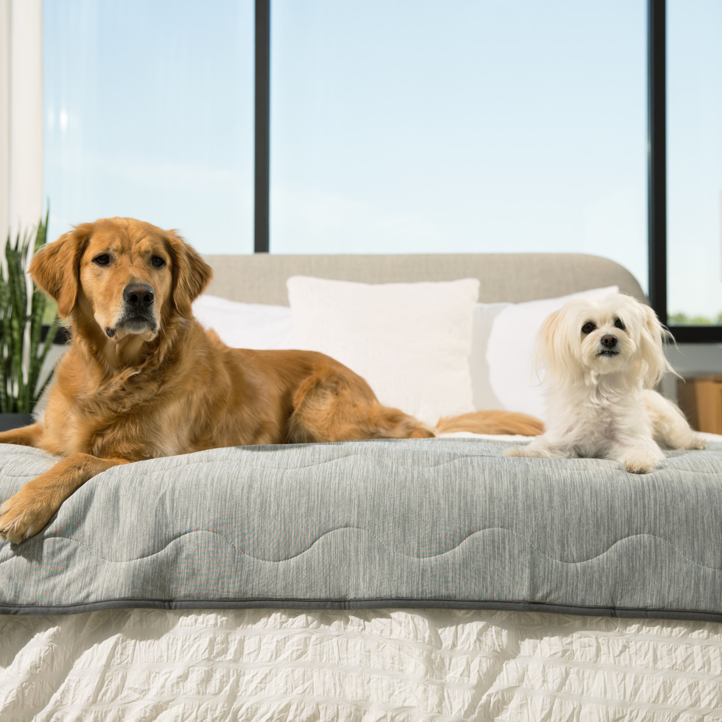 PETLOOM Cooling Waterproof Runner Blanket™