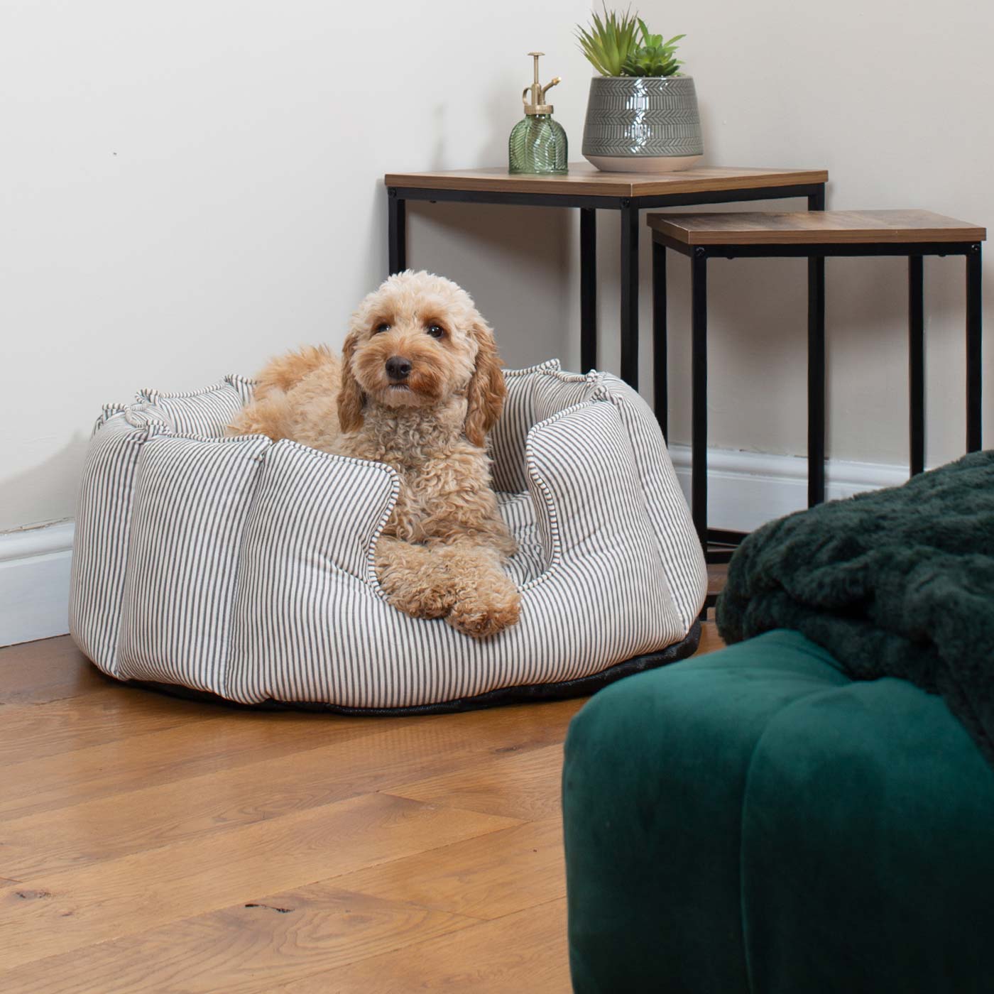 PETLOOM High Wall Stripe Dog Bed™