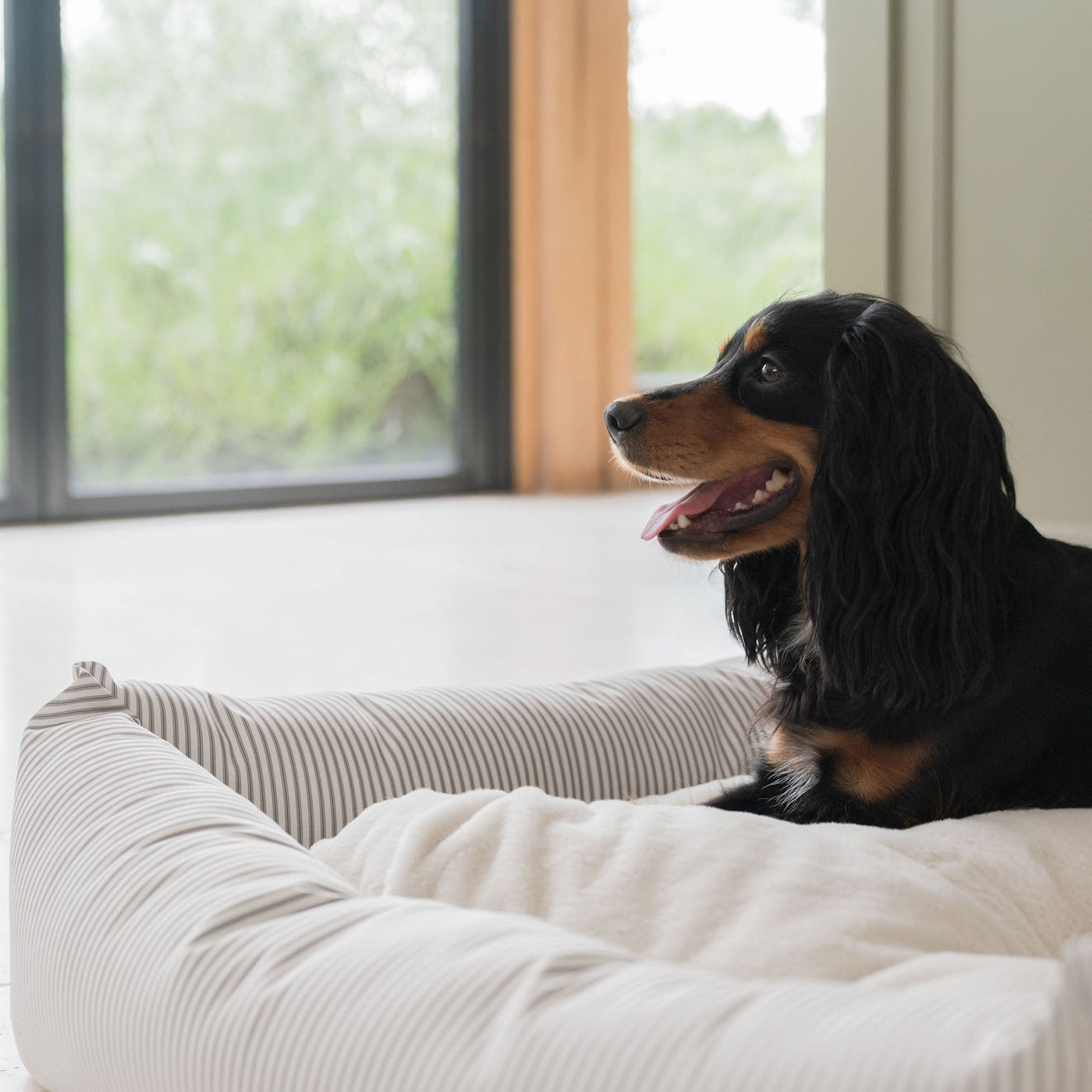 PETLOOM Regency Stripe Box Dog Bed™