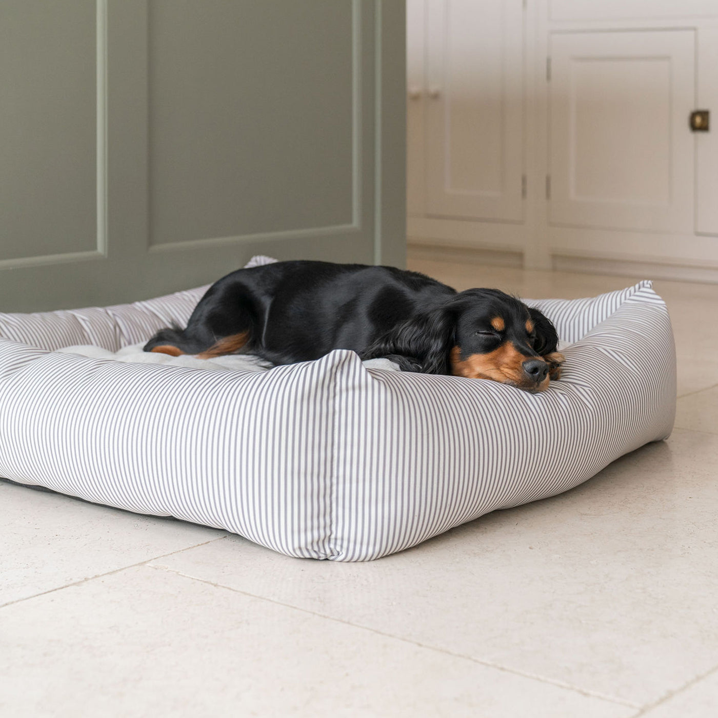 PETLOOM Regency Stripe Box Dog Bed™
