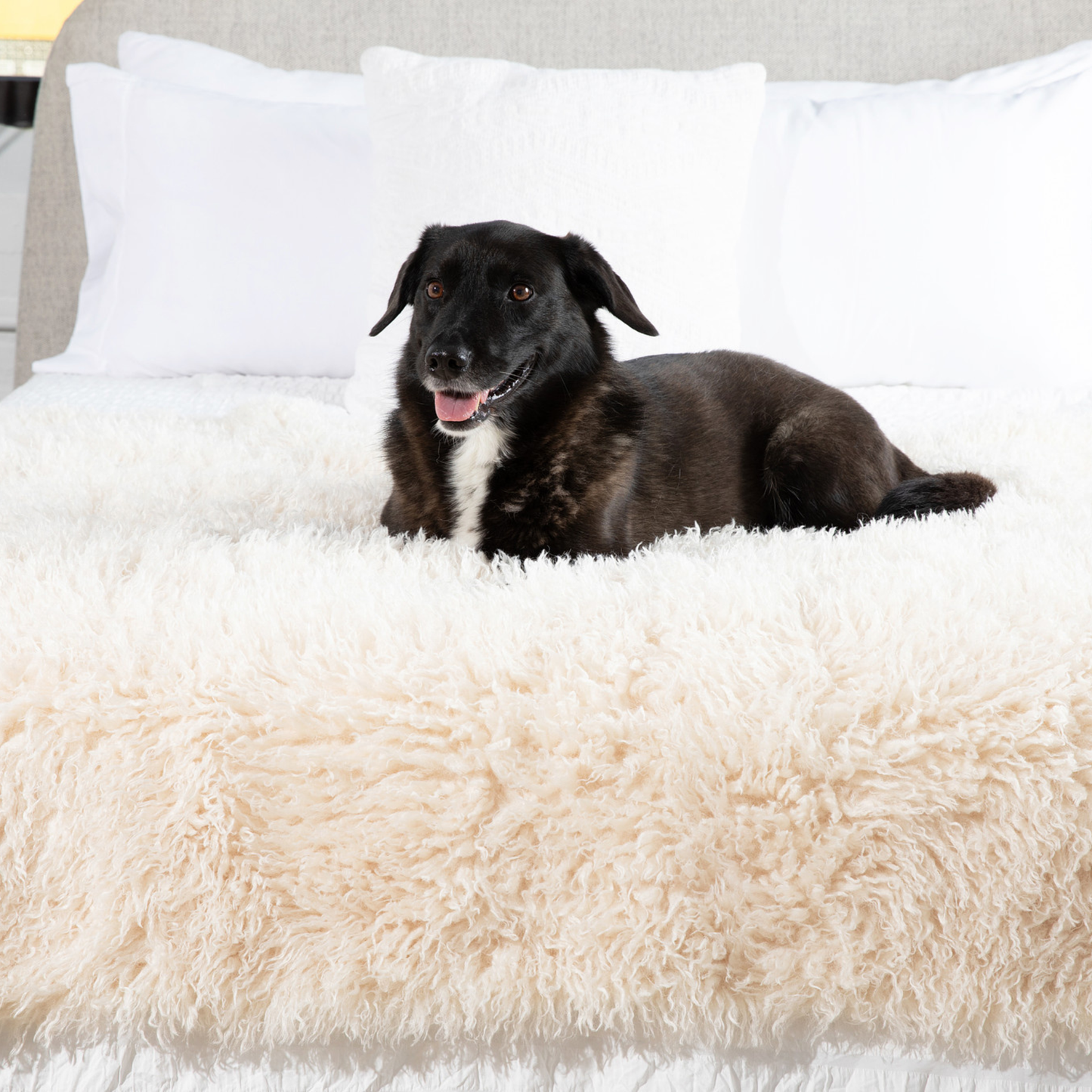 PETLOOM Luxe Waterproof Faux Fur Blanket™