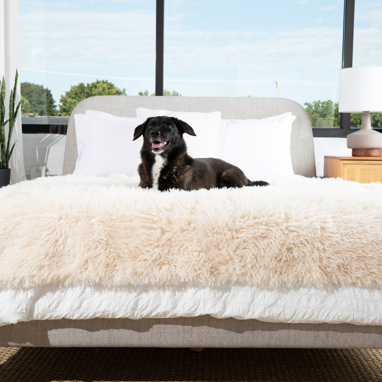 PETLOOM Luxe Waterproof Faux Fur Blanket™