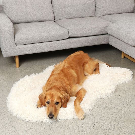 PETLOOM Luxe Faux Fur Orthopedic Dog Bed™