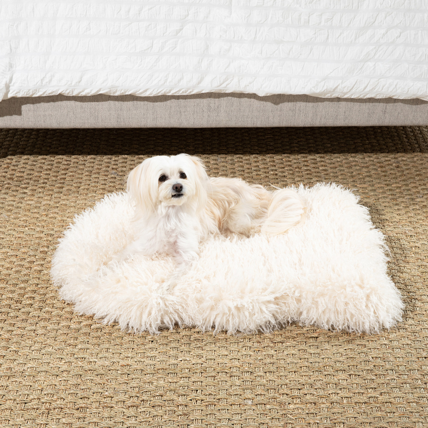 PETLOOM Luxe Faux Fur Orthopedic Dog Bed™