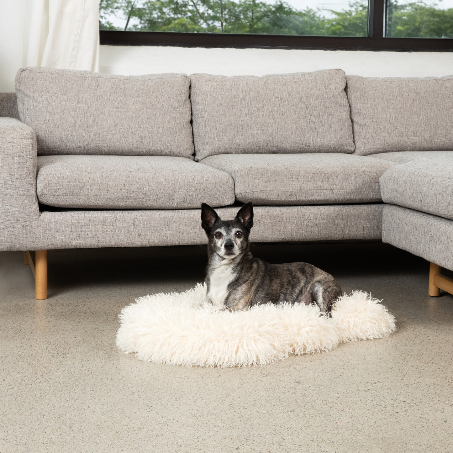 PETLOOM Luxe Faux Fur Orthopedic Dog Bed™