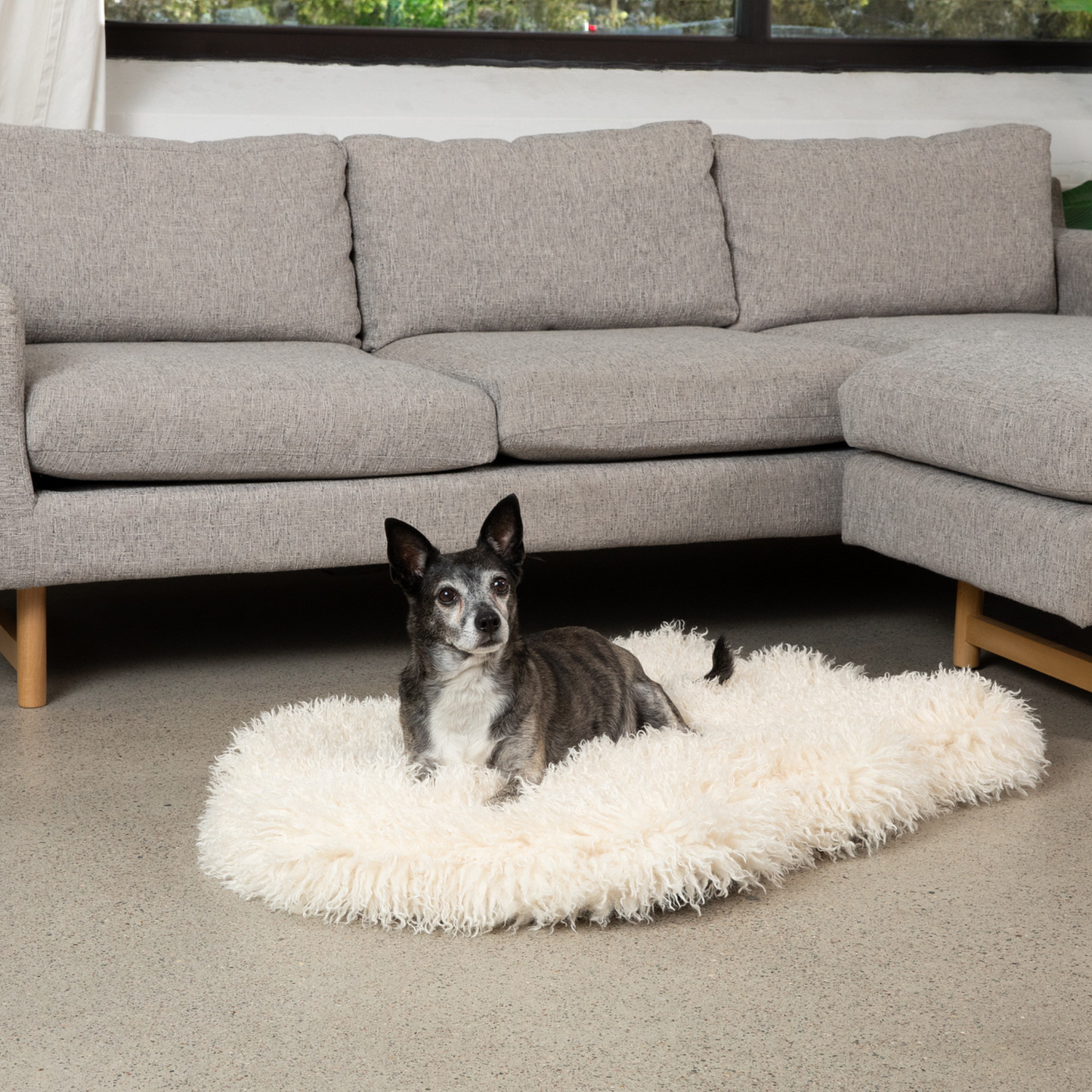 PETLOOM Luxe Faux Fur Orthopedic Dog Bed™