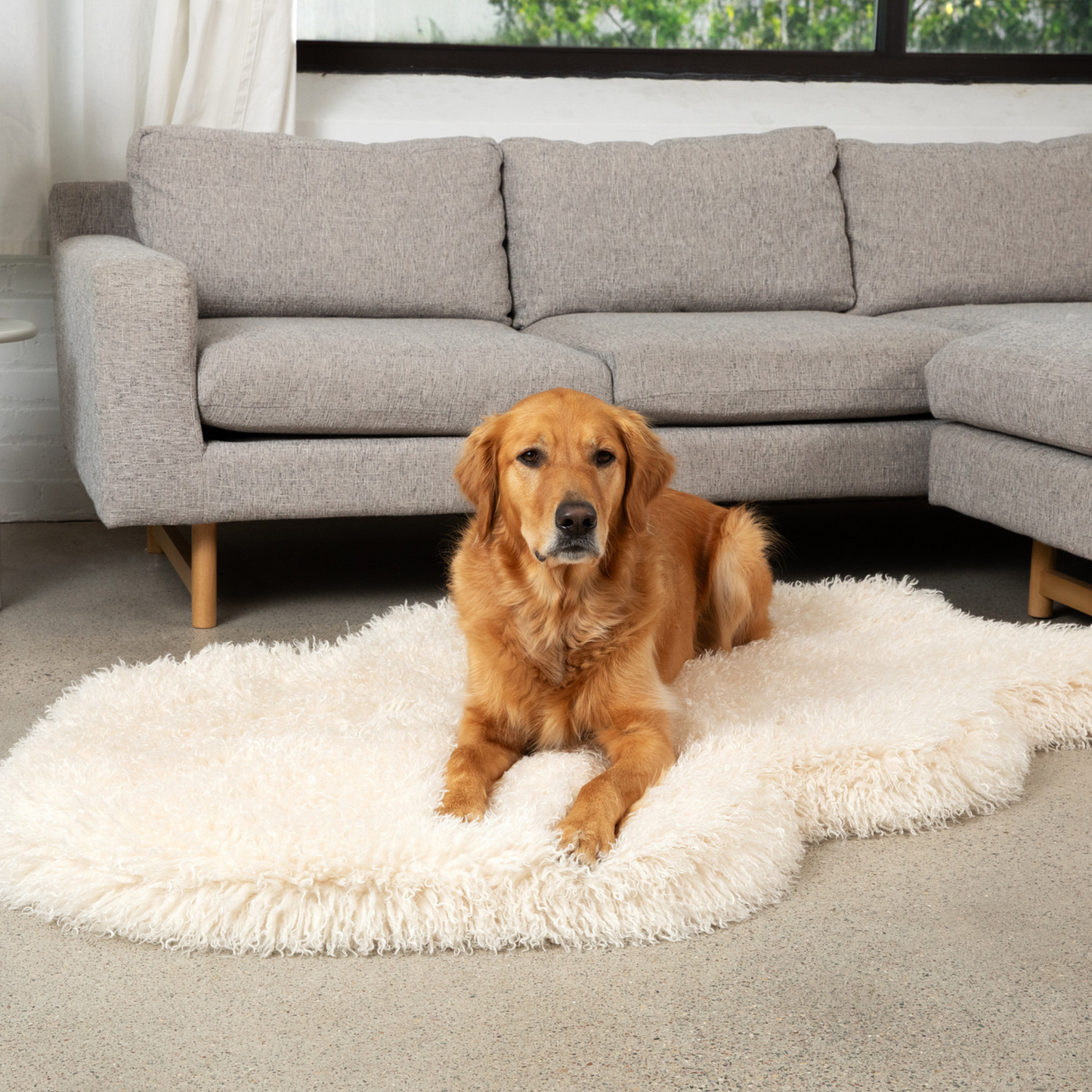 PETLOOM Luxe Faux Fur Orthopedic Dog Bed™