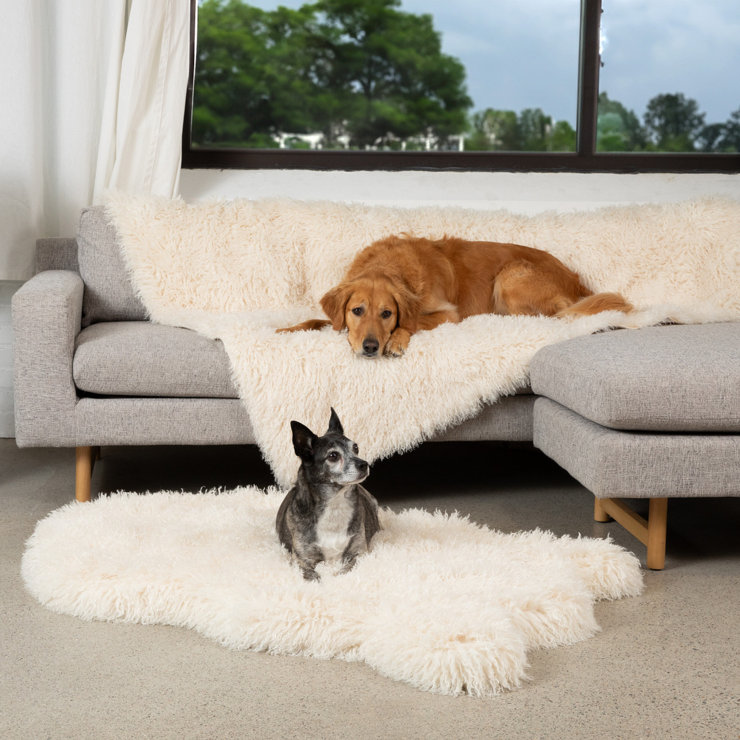 PETLOOM Luxe Faux Fur Orthopedic Dog Bed™