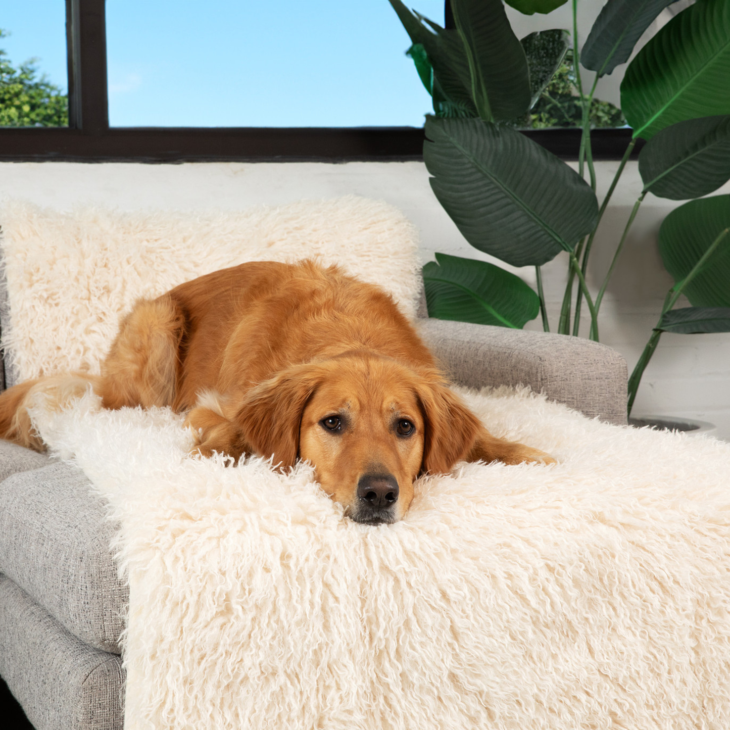 PETLOOM Luxe Waterproof Bed Runner™