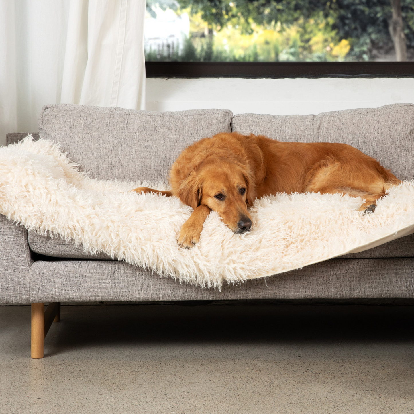 PETLOOM Luxe Waterproof Bed Runner™