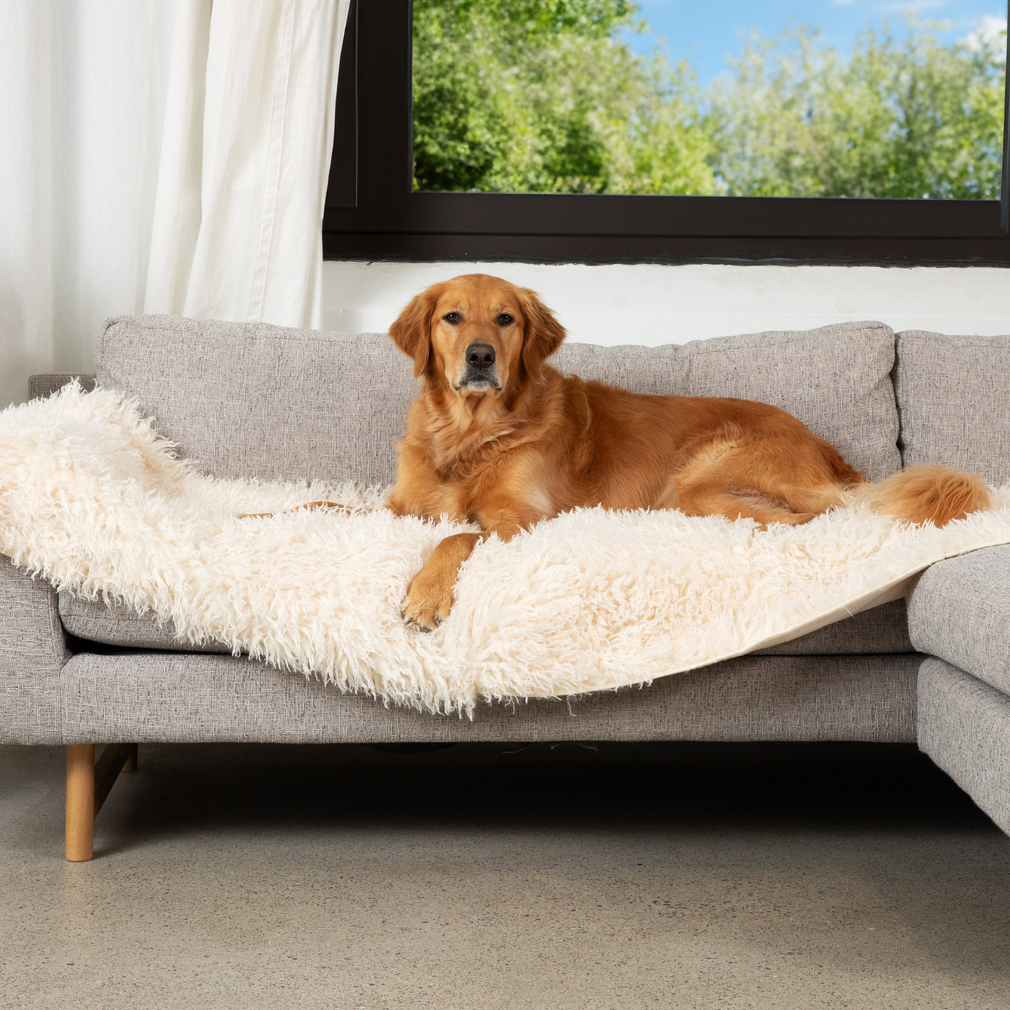 PETLOOM Luxe Waterproof Bed Runner™