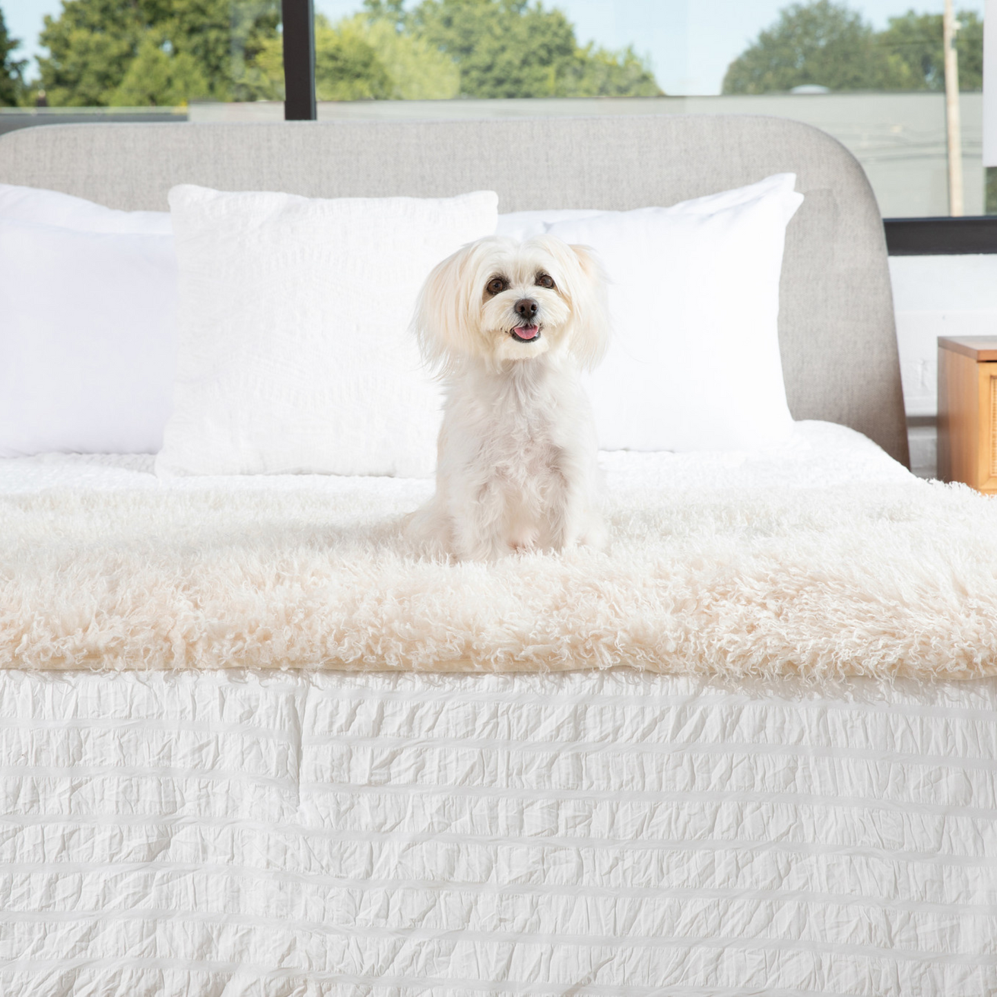PETLOOM Luxe Waterproof Bed Runner™