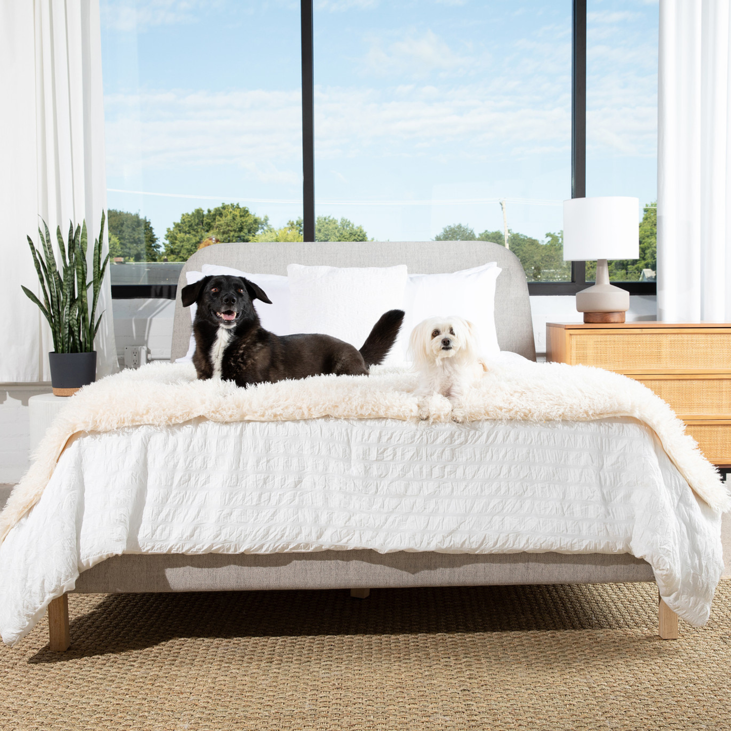 PETLOOM Luxe Waterproof Bed Runner™