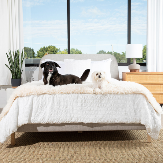 PETLOOM Luxe Waterproof Bed Runner™