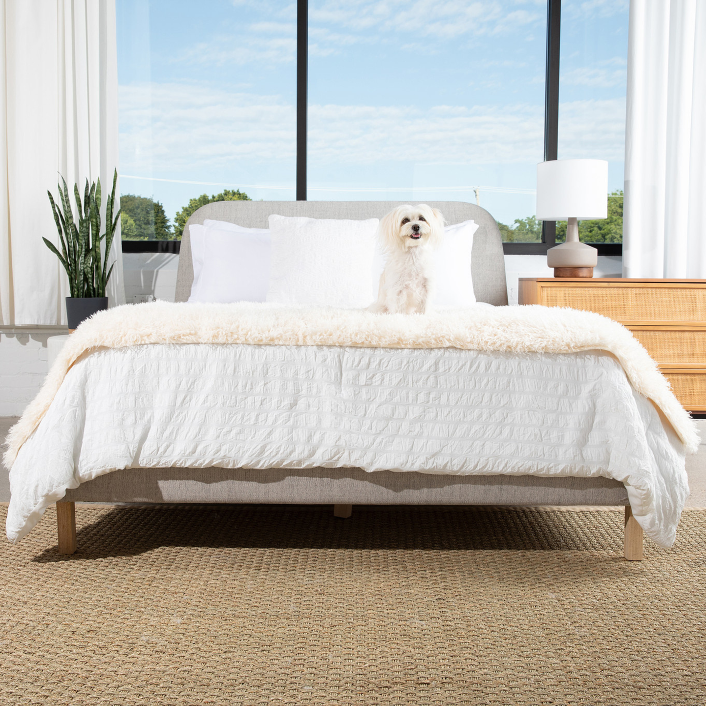 PETLOOM Luxe Waterproof Bed Runner™
