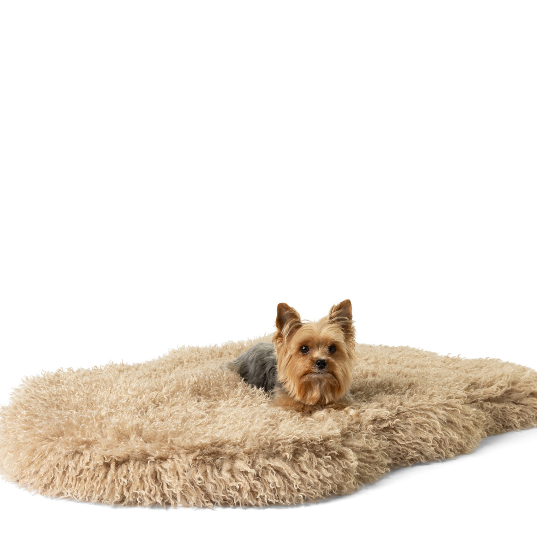 PETLOOM Luxe Faux Fur Orthopedic Dog Bed™