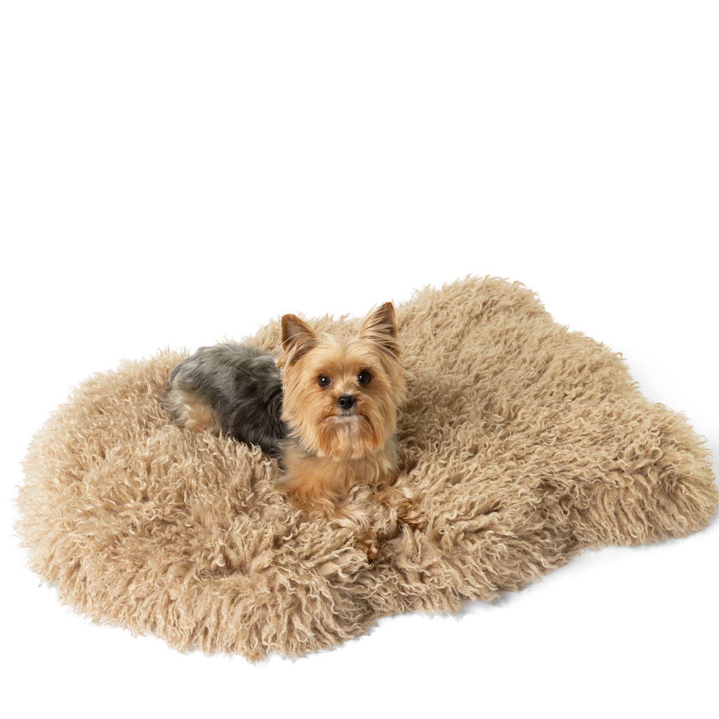PETLOOM Luxe Faux Fur Orthopedic Dog Bed™