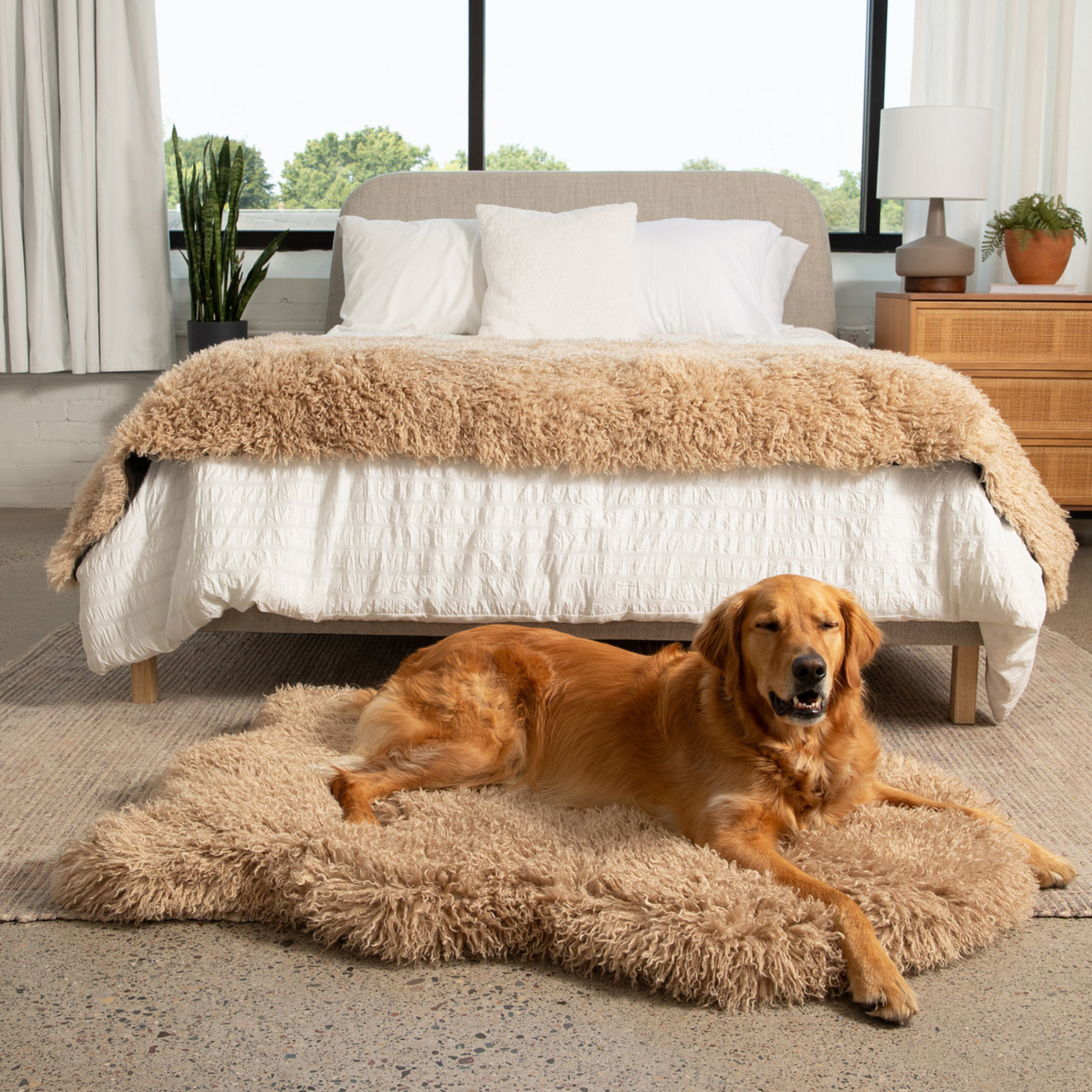 PETLOOM Luxe Faux Fur Orthopedic Dog Bed™