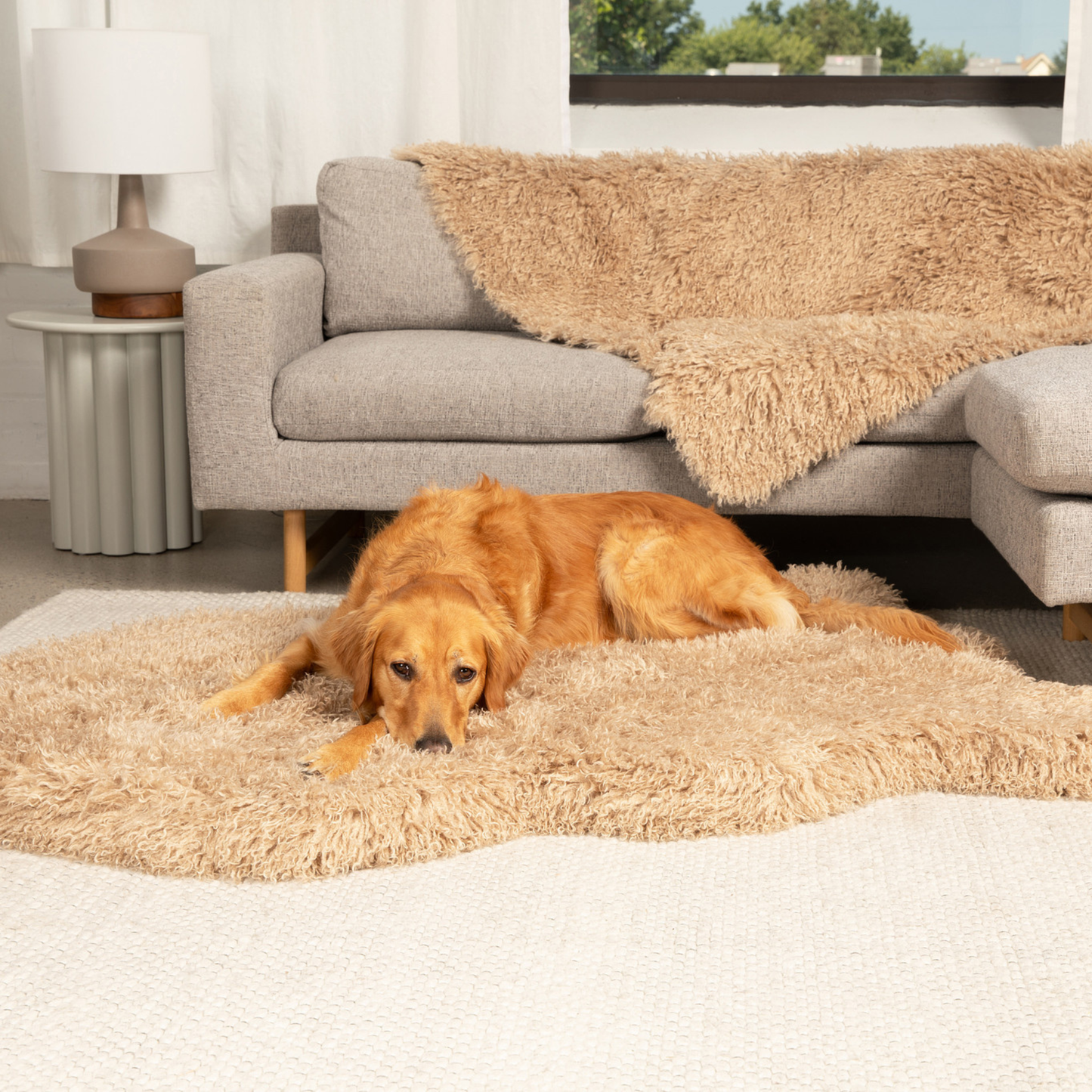 PETLOOM Luxe Faux Fur Orthopedic Dog Bed™