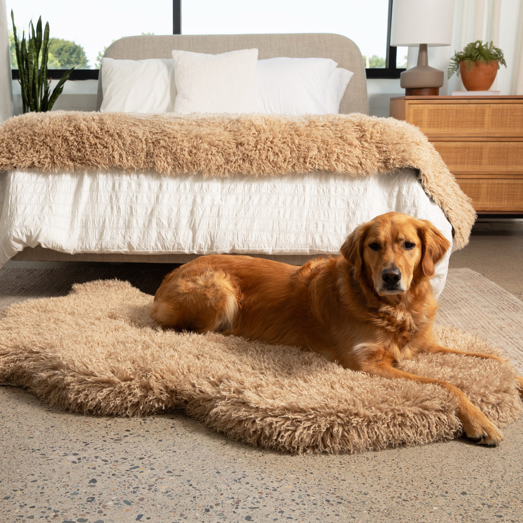 PETLOOM Luxe Faux Fur Orthopedic Dog Bed™