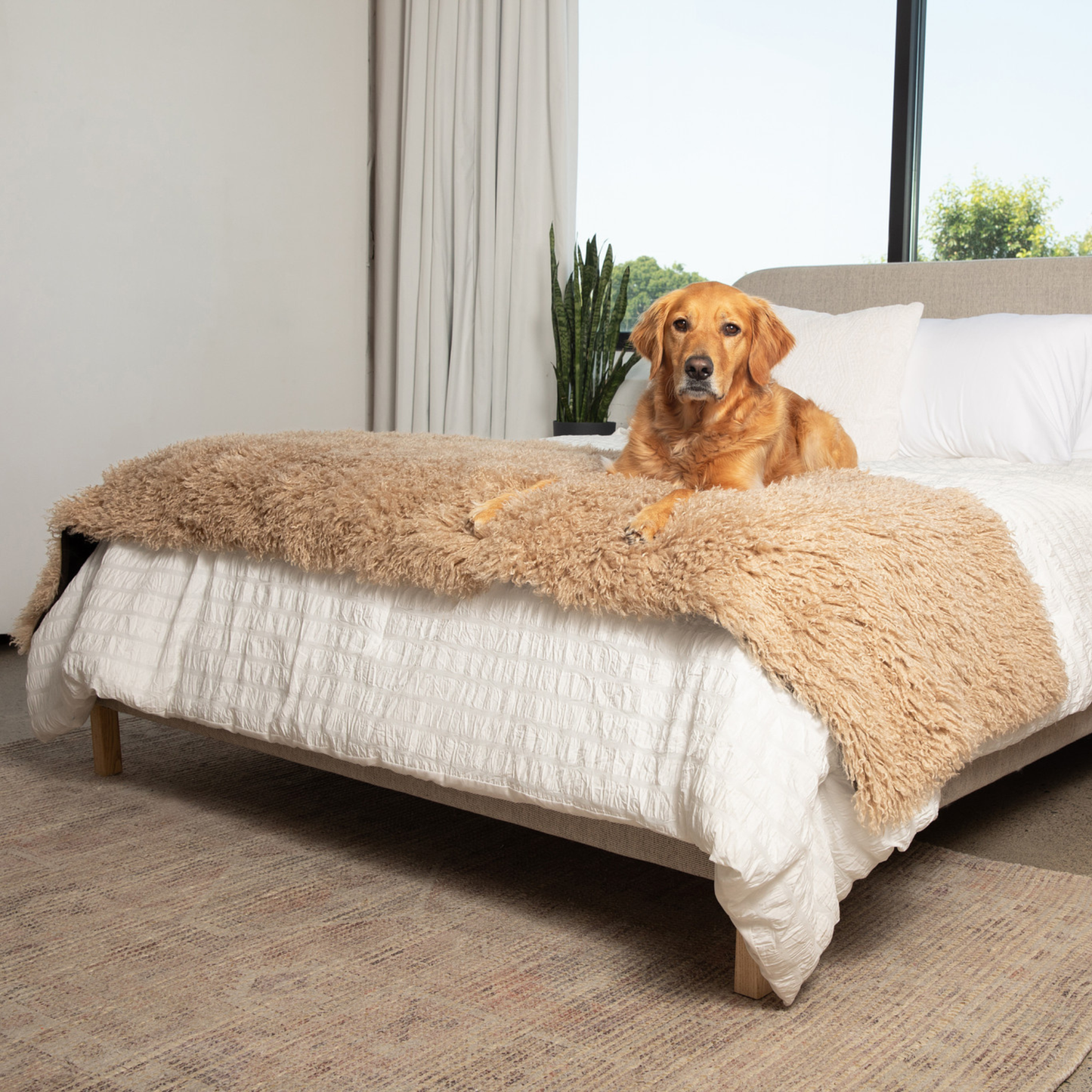 PETLOOM Luxe Waterproof Bed Runner™