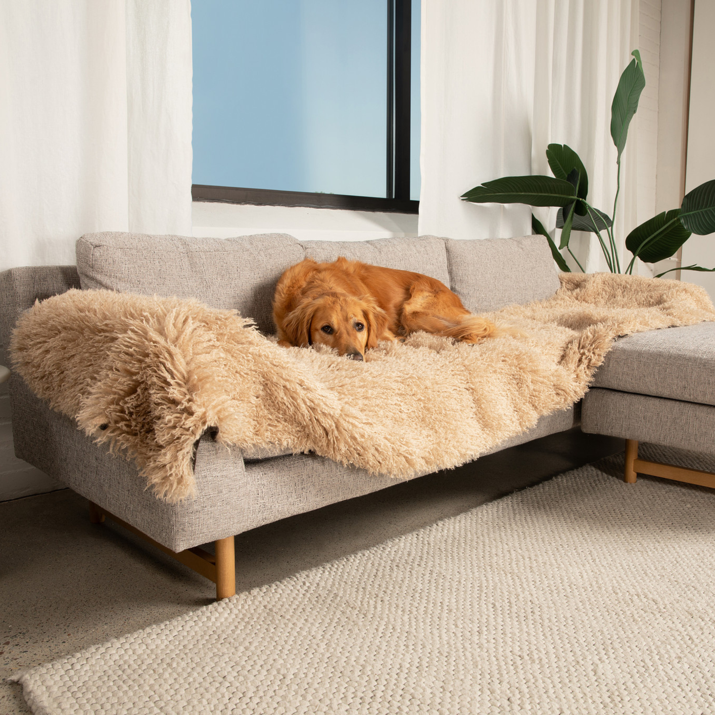 PETLOOM Luxe Waterproof Bed Runner™