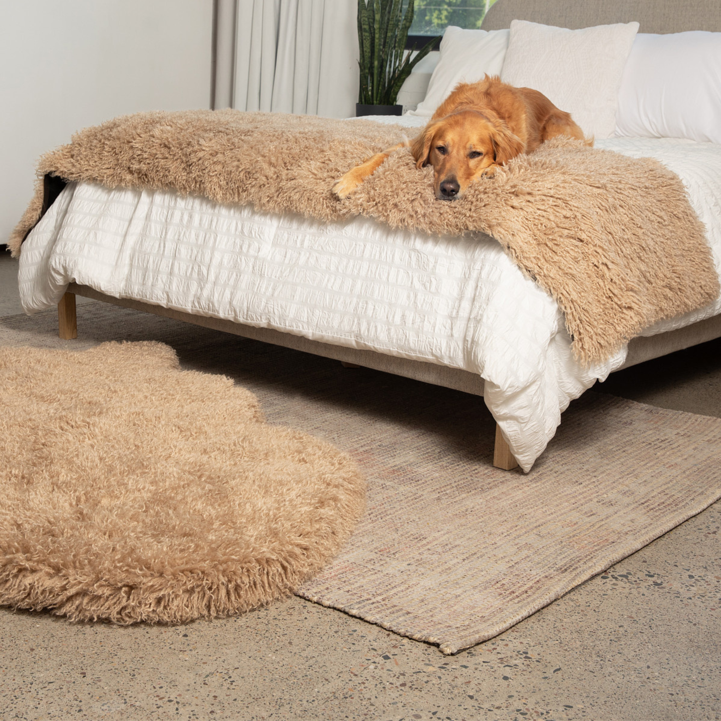 PETLOOM Luxe Waterproof Bed Runner™