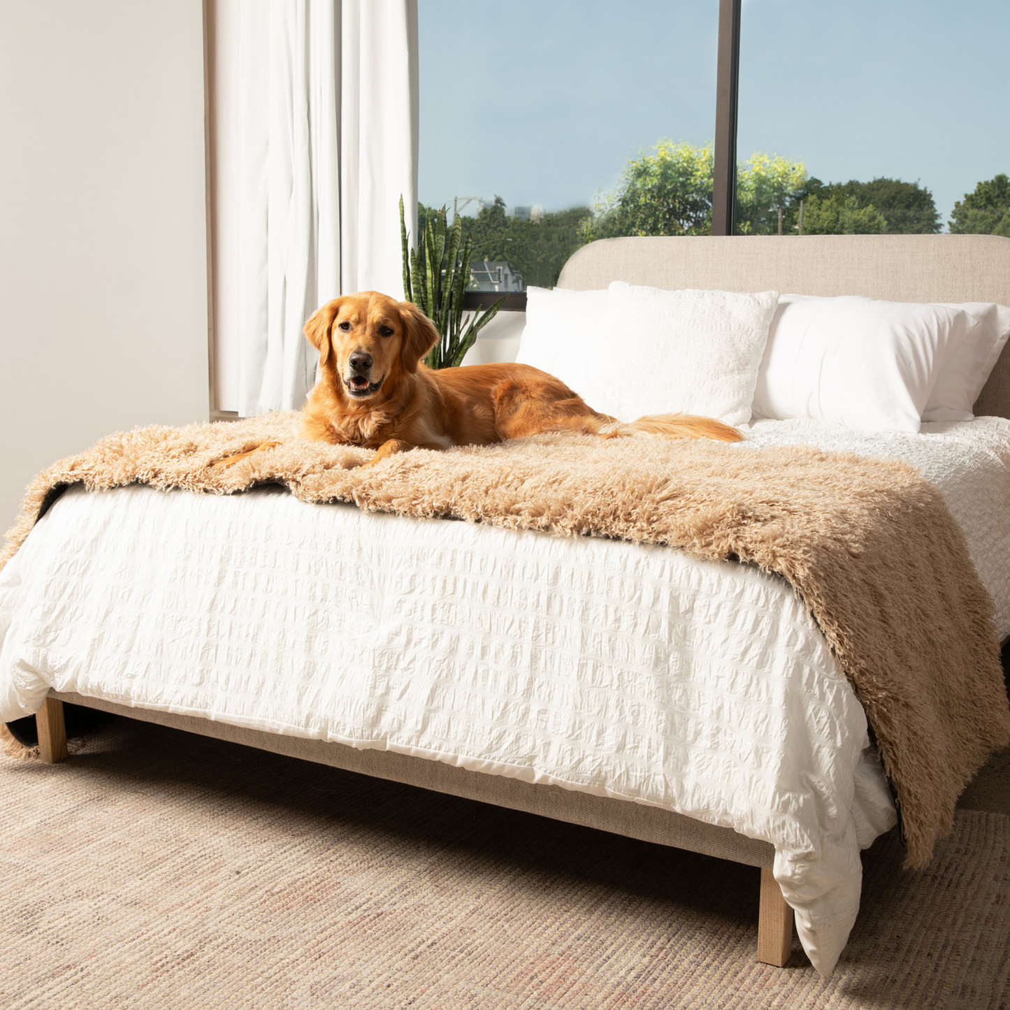 PETLOOM Luxe Waterproof Bed Runner™